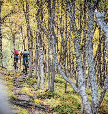 Bikefex Kalender 2021