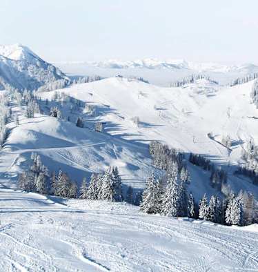 Alpendorf Bergbahnen AG