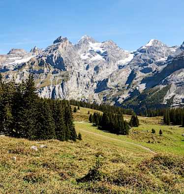 Sagenhafte Blüemlisalp