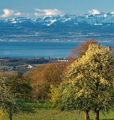 Konstanz in Baden-Württemberg: Bodensee mit Schweizer Alpen