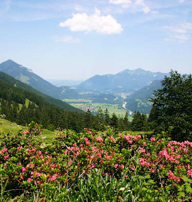 Wandern in den Chiemgauer Alpen: Auf den Breitenstein in Bayern