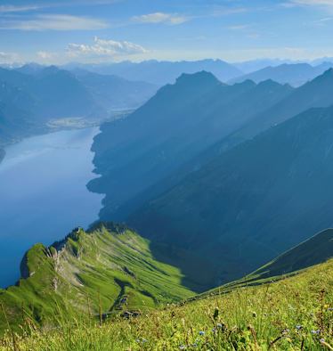Berner Alpen: Blick auf den Brienzersee im Kanton Bern