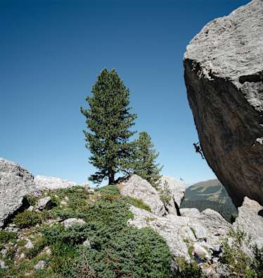 Ein Mann hängt in der Felswand.