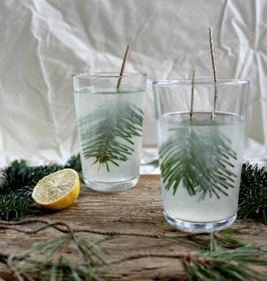 Die „Heiße Fichten-Zitrone" - ein wohltuendes Getränk in der Erkältungszeit