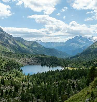 Val da Camp, Berninatrek