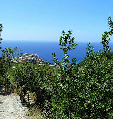Cinque Terre - Wandern in Ligurien