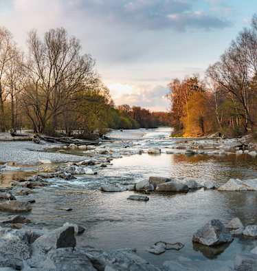 Die Isarauen am Flaucher bei München