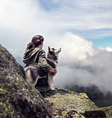 Husky mit Mensch auf Berggipfel 