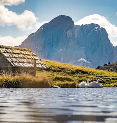 Dolorama: Eisacktal in Südtirol