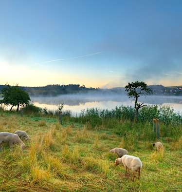 Wandern am Eifelsteig