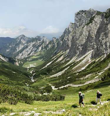Luchs Trail Nationalpark Kalkalpen