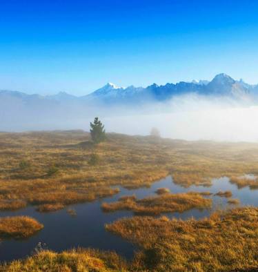 Welttag der Feuchtgebiete: Hochmoor in Tirol
