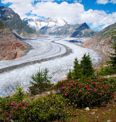 Fiescheralp - Riederalp: Grosser Aletschgletscher in den Berner Alpen im Wallis