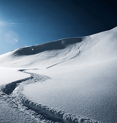 „Die Tischdame der radikalen Freiheit heißt Risiko“