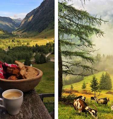 Schule der Alm im Valsertal: Frühstück auf Helgas Alm in Tirol