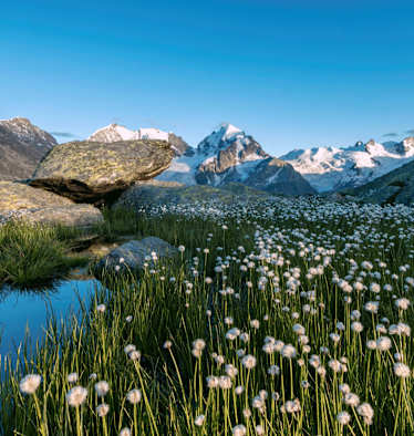 Fuorcla Surlej im Kanton Graubünden: Höhenweg im Engadin