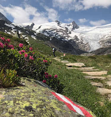 Innergschlöss mit Blick auf den Großvenediger