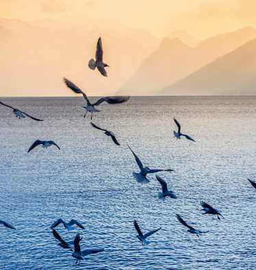 Traunsee bei Gmunden im österreichischen Salzkammergut