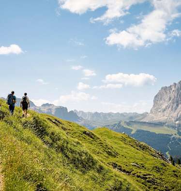 Blick auf markante Felsformationen und saftige Almböden