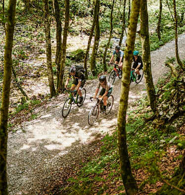 Die Gravelbike-Gruppe auf einem Forstweg.