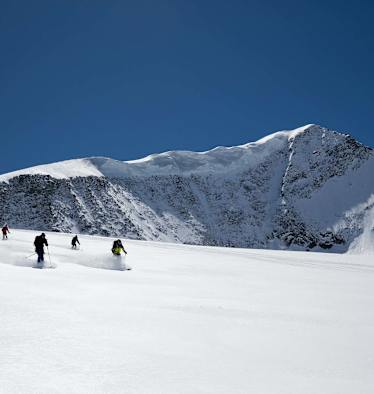 Den Powder bei der Abfahrt genießen