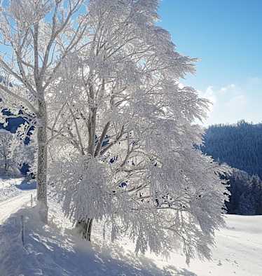 Winterwandern: Oberösterreichische Voralpen