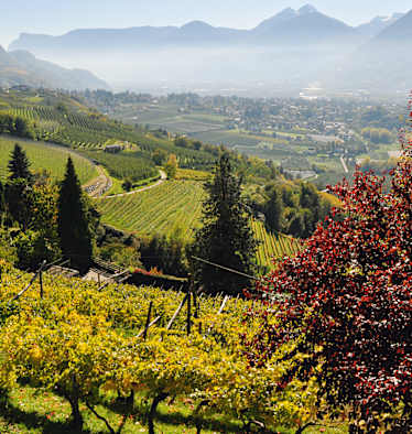 Herbstgenuss rund um Meran