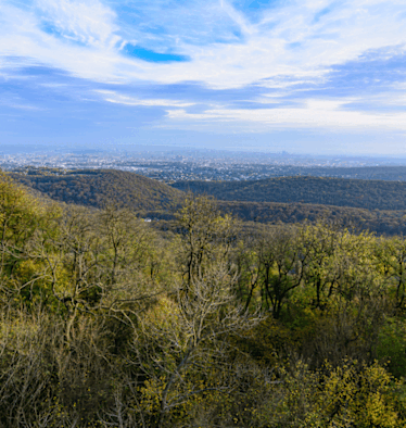 Blick von der Habsburgerwarte auf dem Hermannskogel über die Dächer Wiens