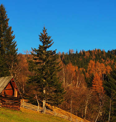 Wandern im Salzburger Lungau: Am Hollerbergweg