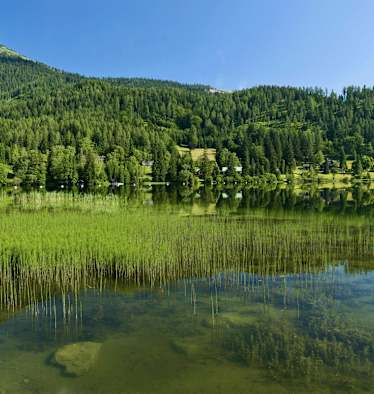 WohlfühlWege: Der Erlaufsee am Fuße der Gemeindealpe