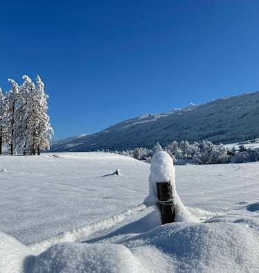 Winter von seiner schönsten Seite.