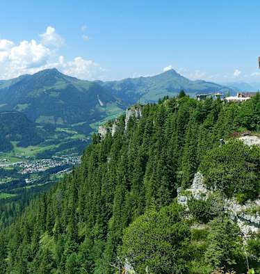 Das Jakobskreuz auf der Buchensteinwand