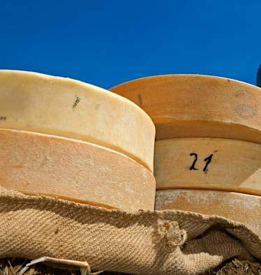 Kulinarisches Wandern: Schweizer Käse