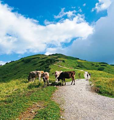 Wandern in den Allgäuer Alpen: Aufs Fellhorn in Vorarlberg