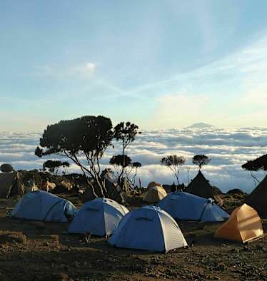 Kilimandscharo: Am Shira-Camp II