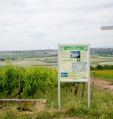 Informationsschild auf dem Kleinen Mainzer Höhenweg