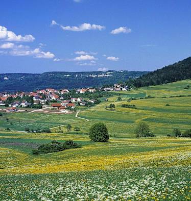 Klippeneck-Runde: Hausen ob Verena auf der Schwäbischen Alb in Baden-Württemberg