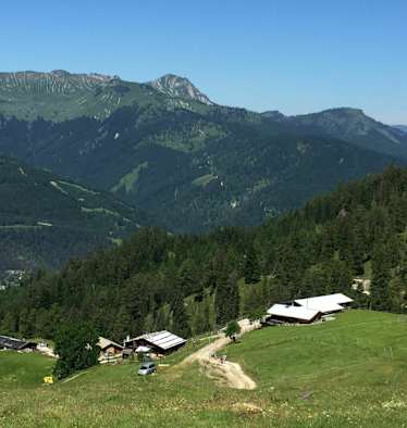 Köglalm im Rofangebirge in Tirol