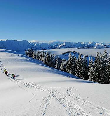 Winterwanderung zum Kronberg im Kanton Appenzell-Innerrhoden