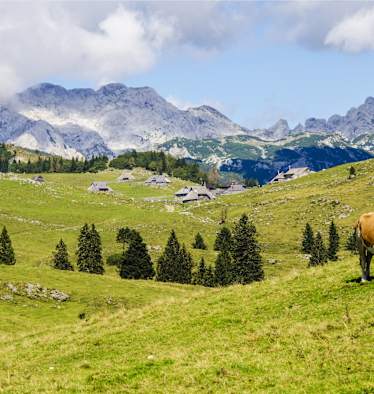 Berg-Know-How: Kuhl bleiben