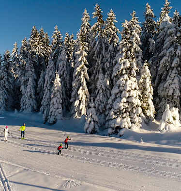 Loipenwandern: Die schönsten mehrtägigen Langlaufstrecken in Deutschland und der Schweiz