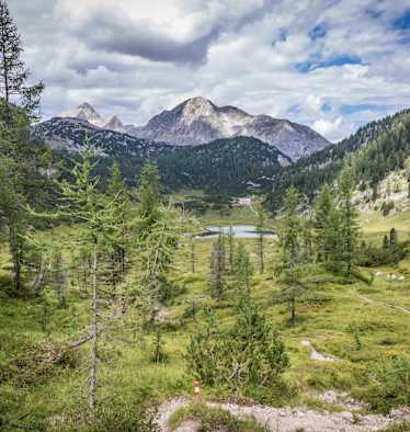 Der Weg führt zum Funtensee und zum Kärlingerhaus