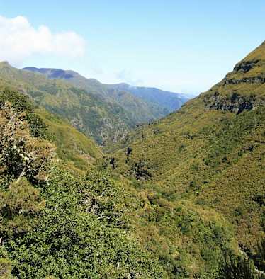 Levada der 25 Quellen: Wandern im Quellgebiet auf der portugiesischen Insel Madeira