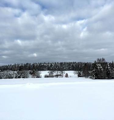 Loßburg Büchenbergspur - Büchenberg