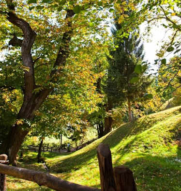 Keschtnweg Südtirol