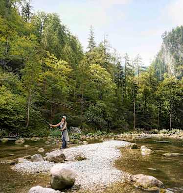Fliegenfischen an der Schwarza in Niederösterreich.