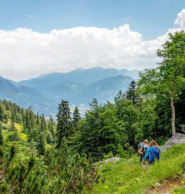 Bergsteiger auf einem Wanderweg im Wald.