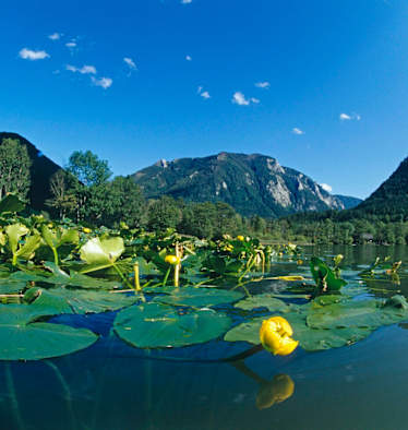 Der Lunzer See ist gerade bei hochsommerlichen Temperaturen einen Ausflug wert