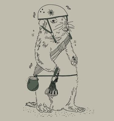 Manfred Steinseehütte