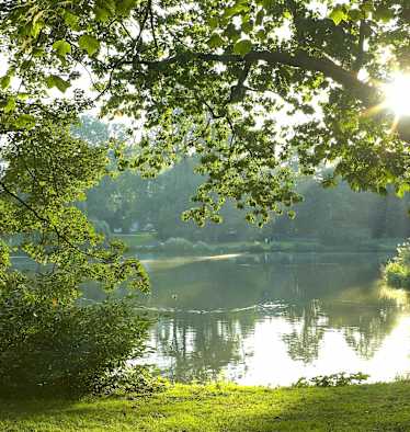 Morgensonne überm Maschteich im Maschpark in Hannover